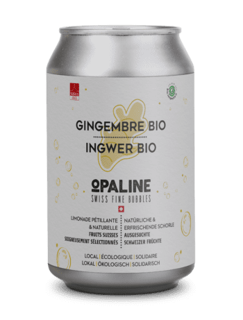 Dose - Gingembre Bio
