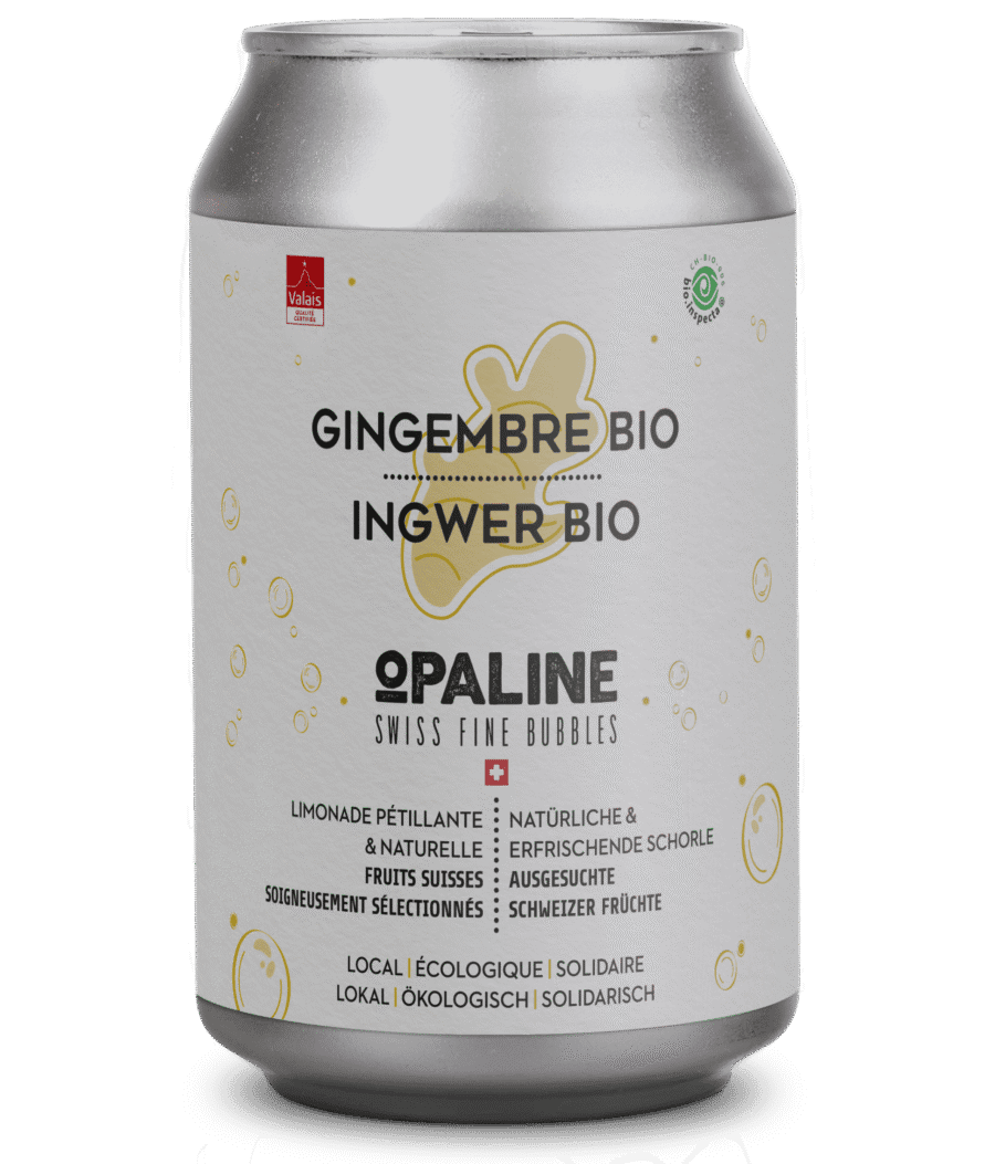 Canette – Gingembre Bio