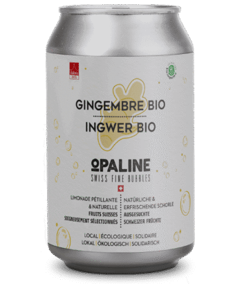 Canette - Gingembre Bio