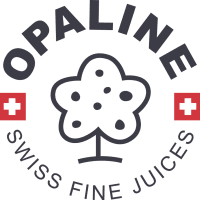 LOGO_Opaline_GREY_flagWhite